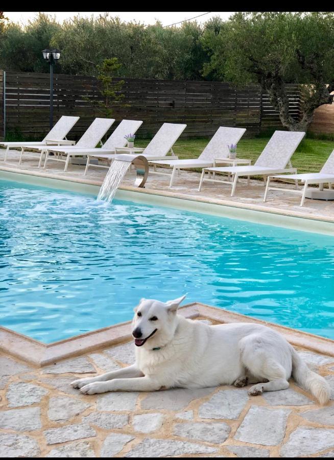 Eleni's Family Villa Laganas Dış mekan fotoğraf